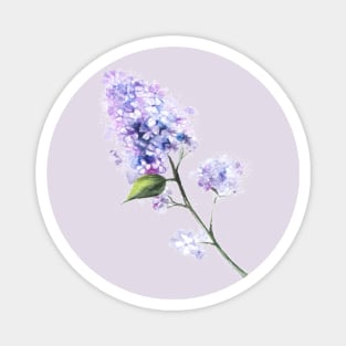 Lilac Flower Twig Magnet